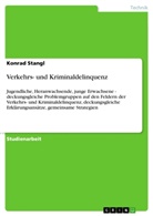 Konrad Stangl - Verkehrs- und Kriminaldelinquenz