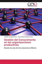 Juan André Godinez Enciso, Juan Andrés Godinez Enciso, Lisbet Lechuga García, Lisbeth Lechuga García - Gestión del Conocimiento en las organizaciones productivas