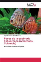 Edgar Francisco Prieto Piraquive - Peces de la quebrada Yahuarcaca (Amazonas, Colombia)