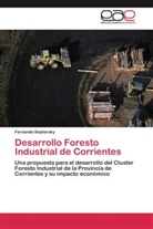 Fernando Sepliarsky - Desarrollo Foresto Industrial de Corrientes