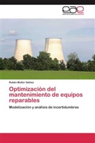 Rubén Mullor Ibáñez - Optimización del mantenimiento de equipos reparables