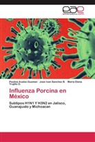 Paulin Avalos Guzman, Paulina Avalos Guzman, Jose Iva Sanchez B, Jose Ivan Sanchez B, Jose Ivan Sanchez B., Trujil... - Influenza Porcina en México