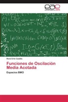 René Erlín Castillo - Funciones de Oscilación Media Acotada