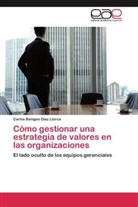 Carlos Benigno Díaz Llorca - Cómo gestionar una estrategia de valores en las organizaciones