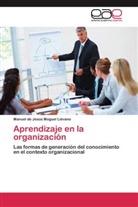 Manuel de Jesús Moguel Liévano - Aprendizaje en la organización