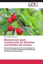 Nieves Baenas Navarro - Maduración post-recolección de distintas variedades de cereza
