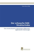 Tobias Marius Weigl - Der schwache DAE-Strukturindex