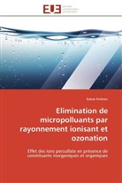 Babak Roshani, Roshani-b - Elimination de micropolluants par