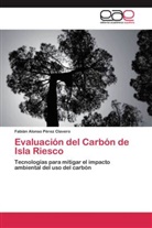 Fabián Alonso Pérez Clavero - Evaluación del Carbón de Isla Riesco