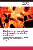 Rosalba Esquivel Cote - Rizobacterias promotoras del desarrollo de plantas de jitomate