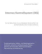 Krzysztof Paschke - Internes Kontrollsystem (IKS)