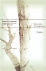 Adam Zagajewski - Mysticism for Beginners