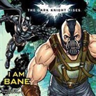 Lucy Rosen, Lucy/ Cohn Rosen, Scott Cohn, Lucy Rosen - The Dark Knight Rises