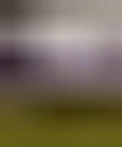 Charles Hurst, Charles E. Hurst - Social Inequality