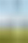 Zachary A. Smith - Environmental Policy Paradox