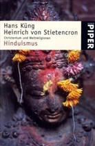 Hans Küng, Heinrich von Stietencron - Hinduismus