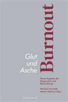 Michael Musalek, Martin Poltrum - Glut und Asche - Burnout
