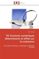 Zohra Kahouli, Kahouli-z - Tic fractures numeriques