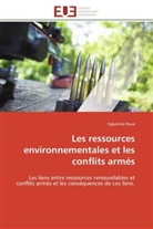 Eglantine Raux, Raux-e - Les ressources environnementales