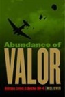 Will Irwin - Abundance of Valor