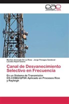 Maritz Alvarado De La Rosa, Maritza Alvarado De La Rosa, Jor Penagos Sandoval, Jorge Penagos Sandoval, Lácides Ripoll Solano - Canal de Desvanecimiento Selectivo en Frecuencia