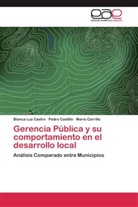 Mario Carrillo, Pedr Castillo, Pedro Castillo, Blanca Lu Castro, Blanca Luz Castro - Gerencia Pública y su comportamiento en el desarrollo local
