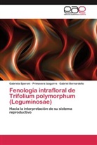 Bernardello, Gabriel Bernardello, Primaver Izaguirre, Primavera Izaguirre, Gabriel Speroni, Gabriela Speroni - Fenología intrafloral de Trifolium polymorphum (Leguminosae)