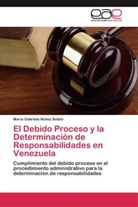María Gabriela Núñez Sotelo - El Debido Proceso y la Determinación de Responsabilidades en Venezuela