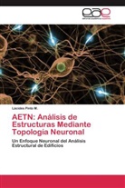 Lácides Pinto M, Lácides Pinto M. - AETN: Análisis de Estructuras Mediante Topología Neuronal