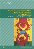 Helmuth Figdor - Kinder aus geschiedenen Ehen: Zwischen Trauma und Hoffnung