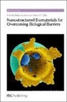 Maria Jose (University of Santiago De Comp Alonso, Maria Jose Csaba Alonso, Maria Jose Alonso, Maria Jose (University of Santiago de Compostela Alonso, Noemi S Csaba, Noemi S. Csaba... - Nanostructured Biomaterials for Overcoming Biological Barriers