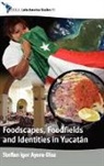 Steffan Igor Ayora Diaz, Steffan Igor Ayora-Diaz, Not Available (NA) - Foodscapes, Foodfields, and Identities in the Yucatan