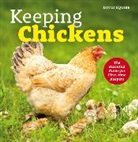 David Squire - Keeping Chickens