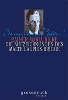 Rainer M. Rilke, Rainer Maria Rilke - Die Aufzeichnungen des Malte Laurids Brigge