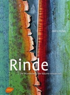 Antoine Isambert, Cédri Pollet, Cédric Pollet, Cédric Pollet - Rinde