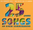 VARIOUS - 25 Jahre Songs an einem Sommerabend, 2 Audio-CDs (Audio book)