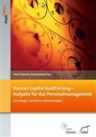 Sasch Armutat, Sascha Armutat, Friederichs, Peter Friederichs - Human Capital Auditierung - Aufgabe für das Personalmanagement