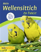 Harro Hieronimus - Mein Wellensittich zu Hause