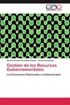Carlos Dominguez, Raúl Fernand Fernández Puente, Raúl Fernando Fernández Puente - Gestión de los Recursos Gubernamentales