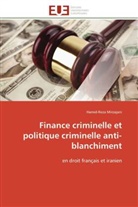 Hamid-Reza Mirzajani, Mirzajani-h - Finance criminelle et politique