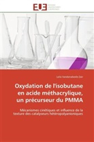Leila Vandenabeele-Zair, Vandenabeele-zair-l - Oxydation de l isobutane en acide