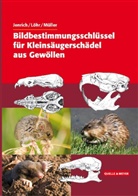 Jenric, Joachi Jenrich, Joachim Jenrich, Löh, Paul-Walte Löhr, Paul-Walter Löhr... - Bildbestimmungsschlüssel für Kleinsäugerschädel aus Gewöllen