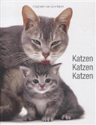 Jane Burton - Katzen, Katzen, Katzen