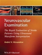 Andrei V Alexandrov, Andrei V. Alexandrov, Andrei V. (Professor and Director Comp Alexandrov, Andrei V. (Uab Hospital Alexandrov, Av Alexandrov, Alexandrov Andrei V. - Neurovascular Examination