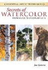 Joe Garcia - Secrets of Watercolor - From Basics to Special Effects