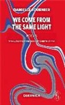 Danielle Fournier - We Come from the Same Light