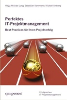 Michael Amberg, Sebastian Kammerer, Michael Lang - Perfektes IT-Projektmanagement