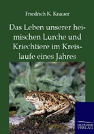 Friedrich K Knauer, Friedrich K. Knauer - Das Leben unserer heimischen Lurche und Kriechtiere im Kreislaufe eines Jahres