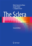 C S Foster, C. Stephen Foster, Stephen Foster, Mait Sainz de la Maza, Maite Sainz de la Maza, Josep Tauber... - The Sclera