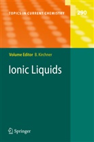 Barbar Kirchner, Barbara Kirchner - Ionic Liquids